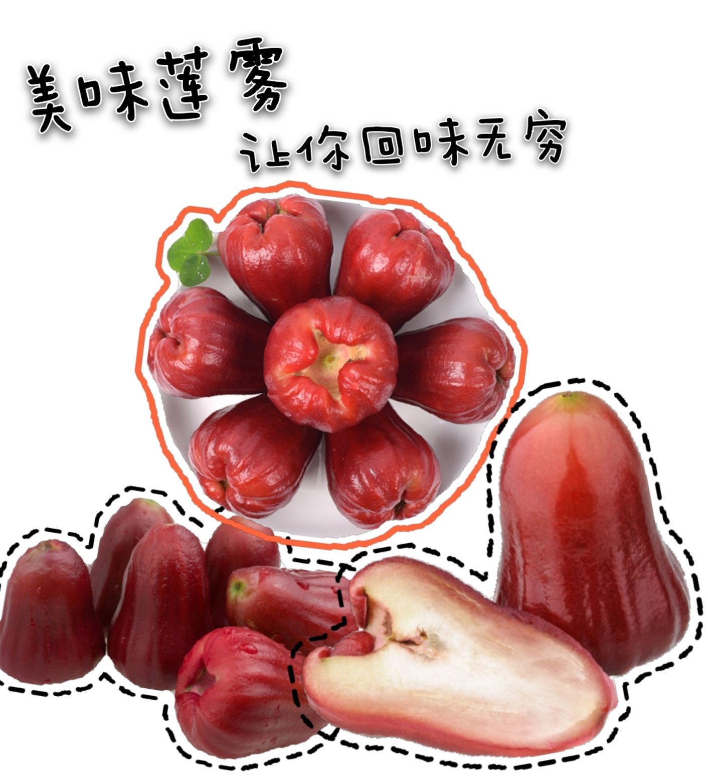 莲雾推荐合集，让你回味无穷