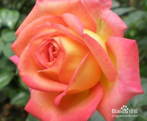 让你一生难忘的话 3