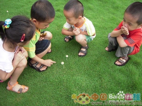 观察力，孩子成才的重要标志