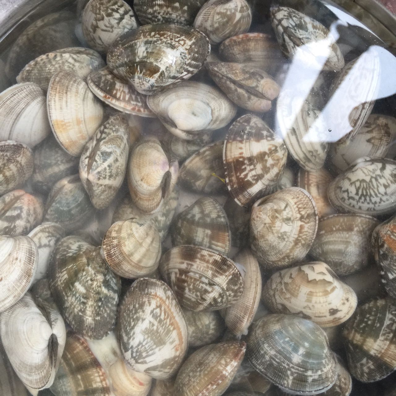 麻辣花蛤，美味的下饭神器！