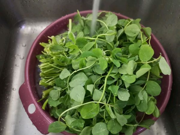 草头火腿炒刀削面