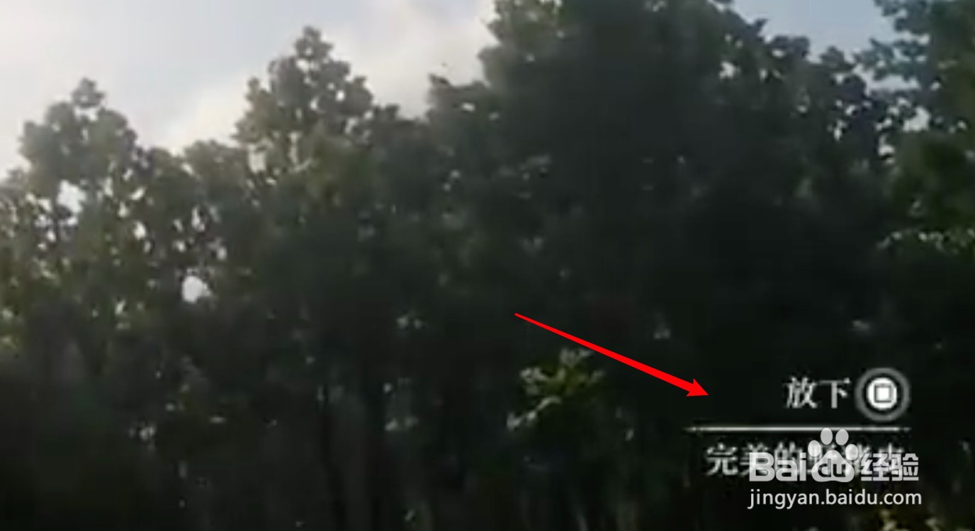 荒野大镖客2完美皮怎么获得