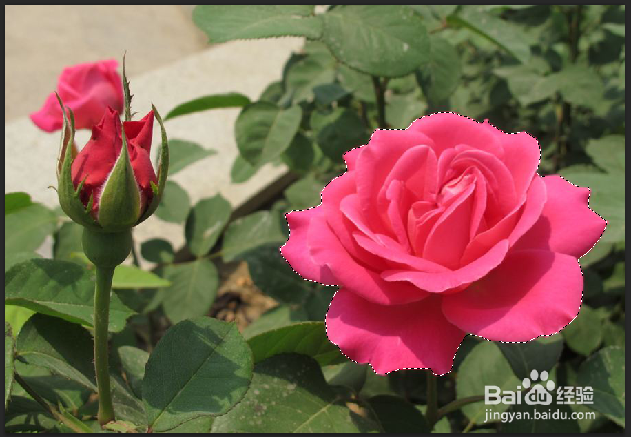 PS历史记录画笔有什么用