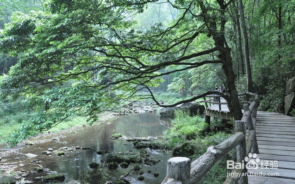 张家界跟团自助游