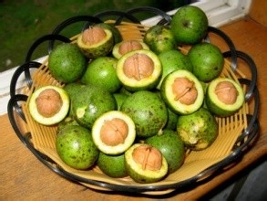 什么食物可以调节失眠