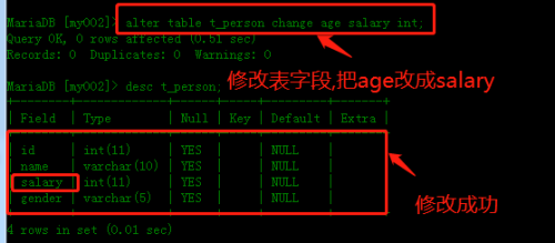 MySQL 数据库创建表