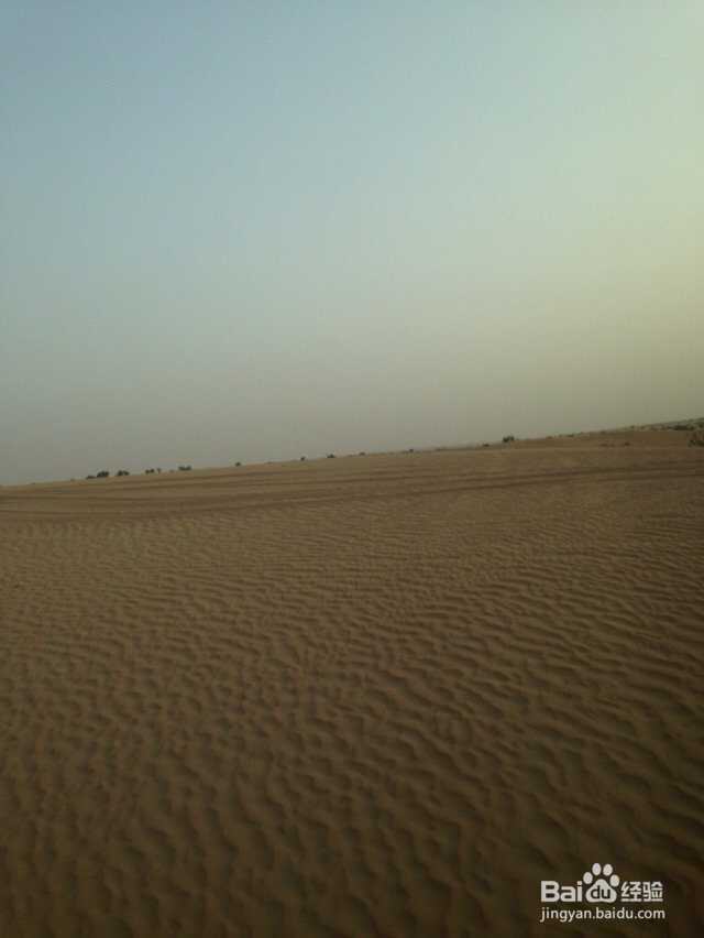 沿途的风景在我的镜头里,更在我心里 迪拜篇