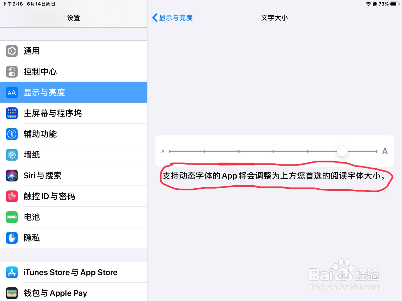 iPad怎么调节文字大小