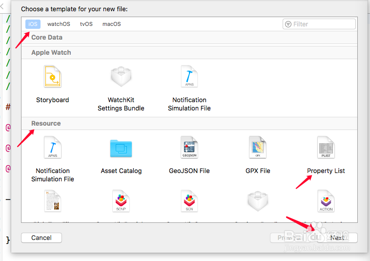 IOS Plist 创建、写入和 读取