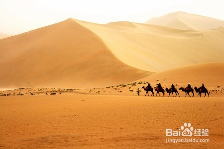 沙漠求生记攻略