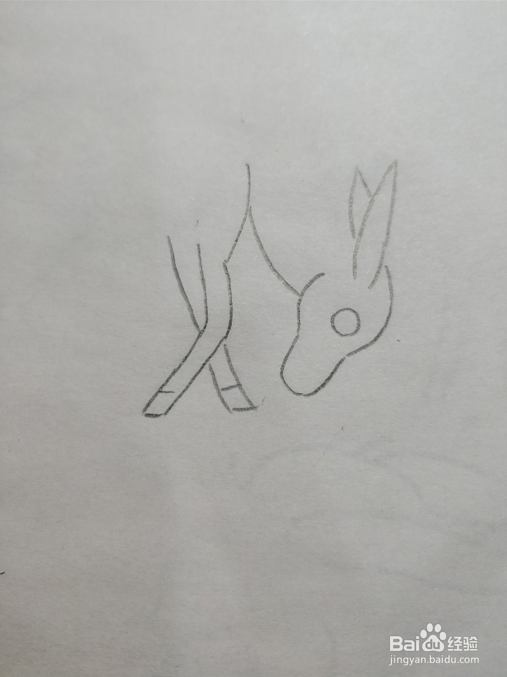 简笔画画小毛驴