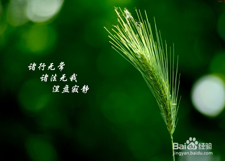 英语四级听力考试注意事项