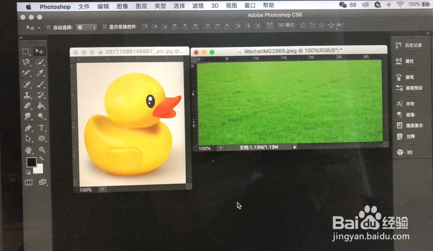 如何用ps完成简单快速剪切移动图片