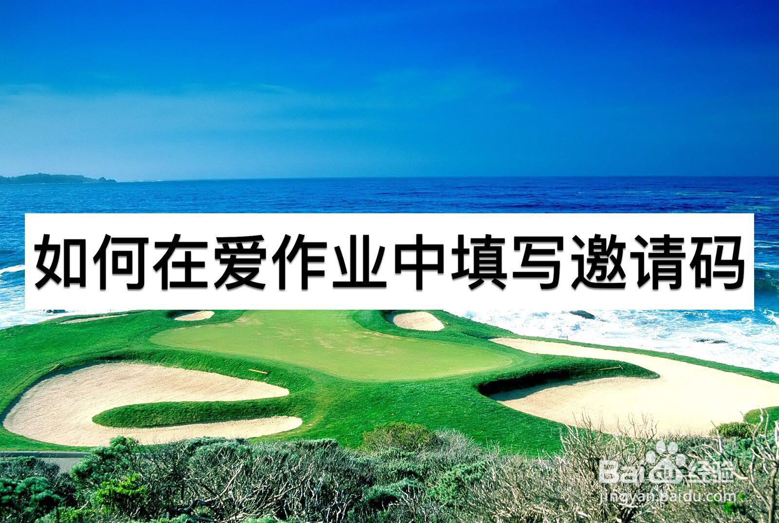 如何在爱作业中填写邀请码