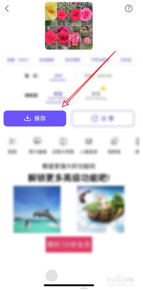 如何用 proknocknot 拼图