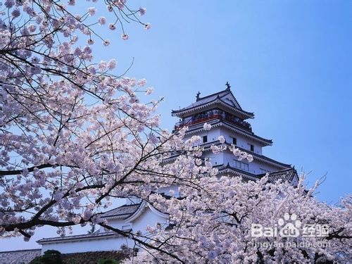 <b>日本春季冬季旅游注意事项</b>