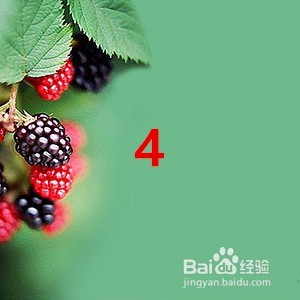 便秘有什么好方法解决