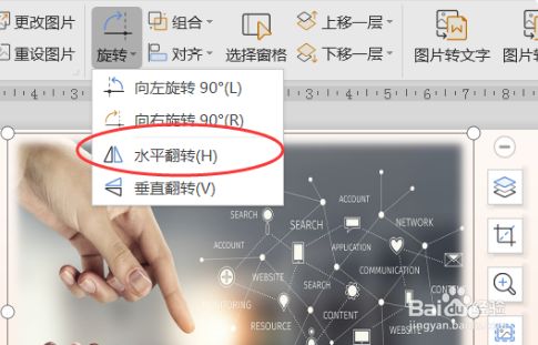 选择"水平翻转"选项.