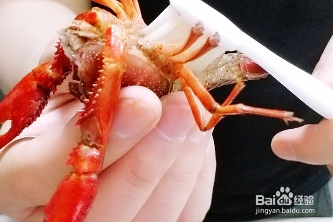 麻辣小龙虾的做法