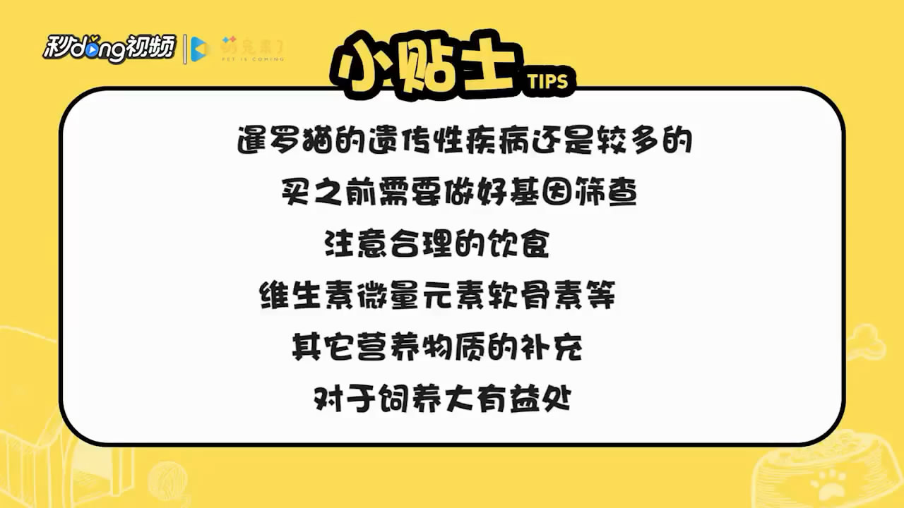 暹罗猫怎么养