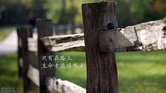 成大事必备手段