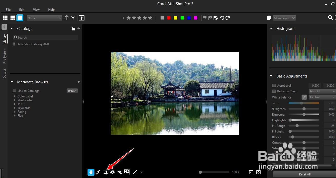 如何使用AfterShot Pro工具进行图像裁剪