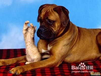 怎样做一个值得人相处的人