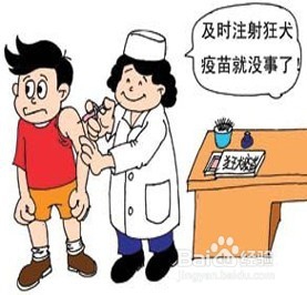 儿童被动物咬伤的注意事项