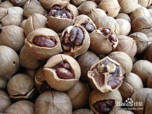 春天到了，应该注意些什么？