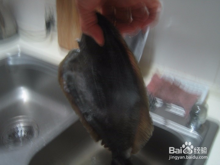 老年人怎样去海鱼的麟