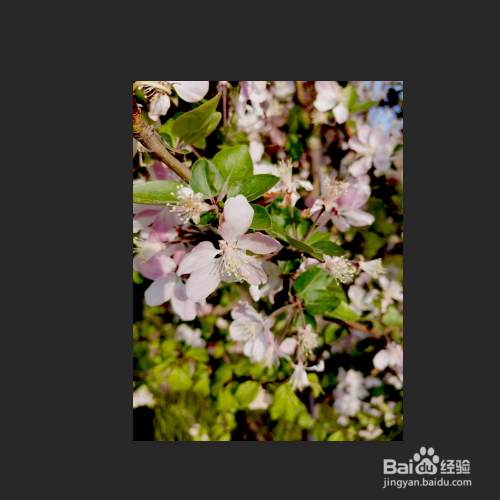 增加图片图像阴影的浓度突出图像