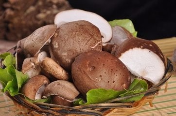 <b>菌菇的营养价值有哪些</b>