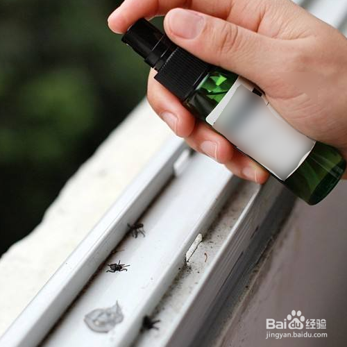 怎样用精油制作天然驱虫剂？