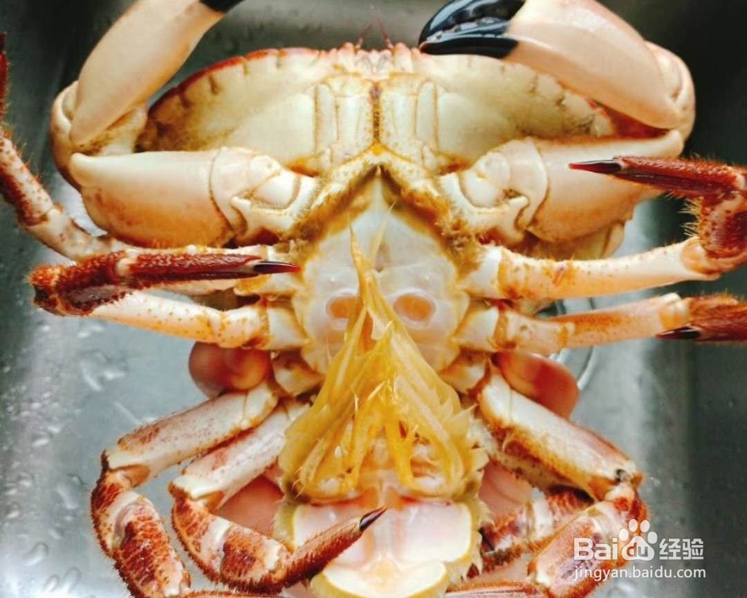 海鲜蟹——咖喱面包蟹