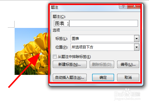 Word文档中怎么给图片添加标注注解信息