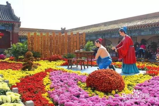 最新开封菊展旅游攻略