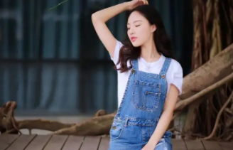 叶修刘念林伟什么书名