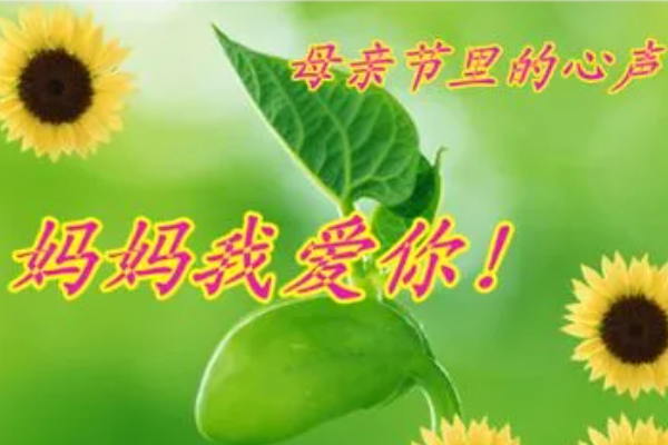 10个赞美妈妈的句子
