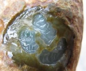 怎样区分翡翠原石种老