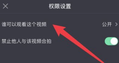 抖音只展示部分浏览的人