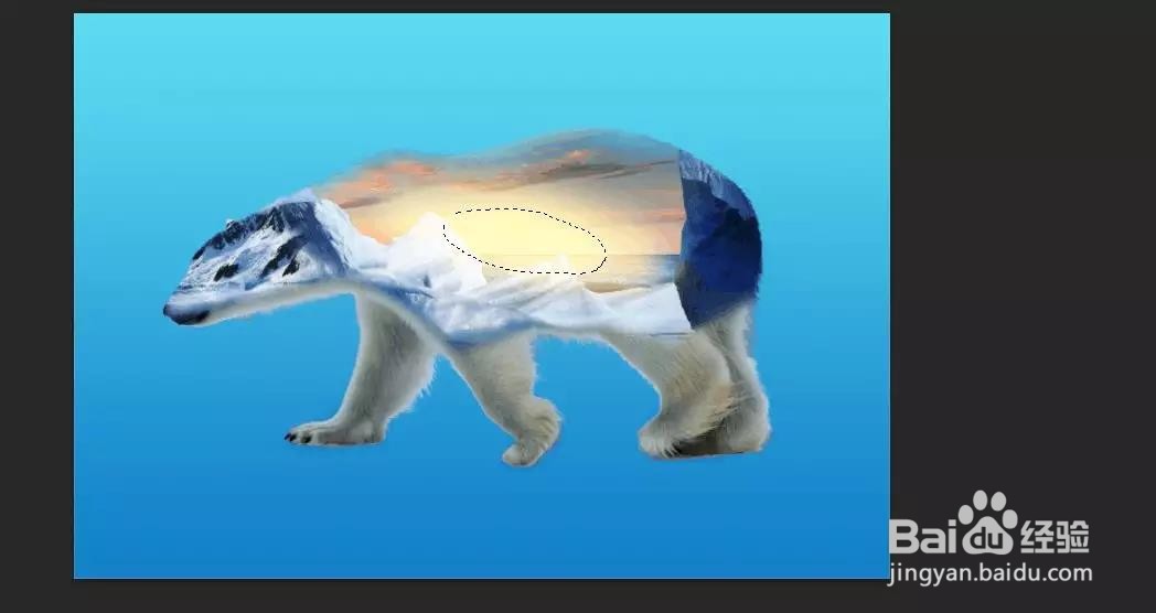 PS：多重曝光北极熊