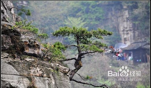 张家界攻略祥解