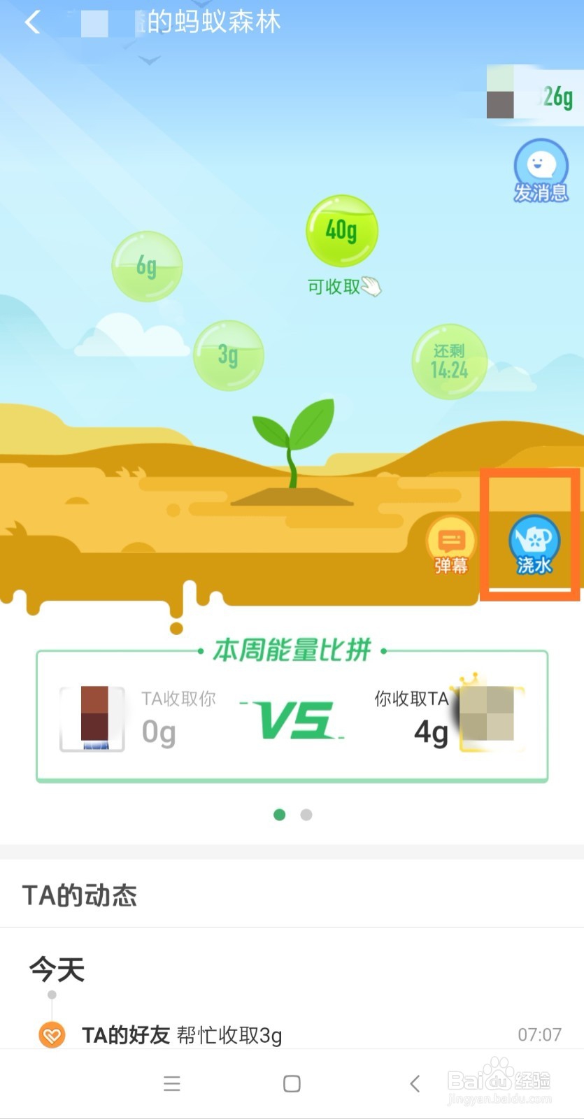 怎么在支付宝的蚂蚁森林里种树