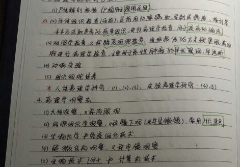 小学默写能手语文和小学默写达人哪个好