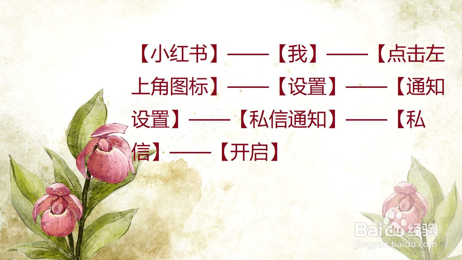 小红书怎么开启私信通知?