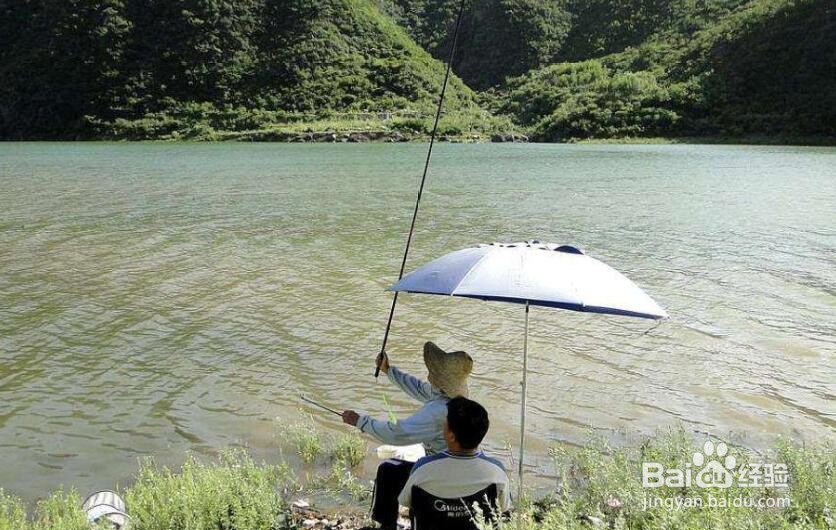 春季什么时候出钓效果好
