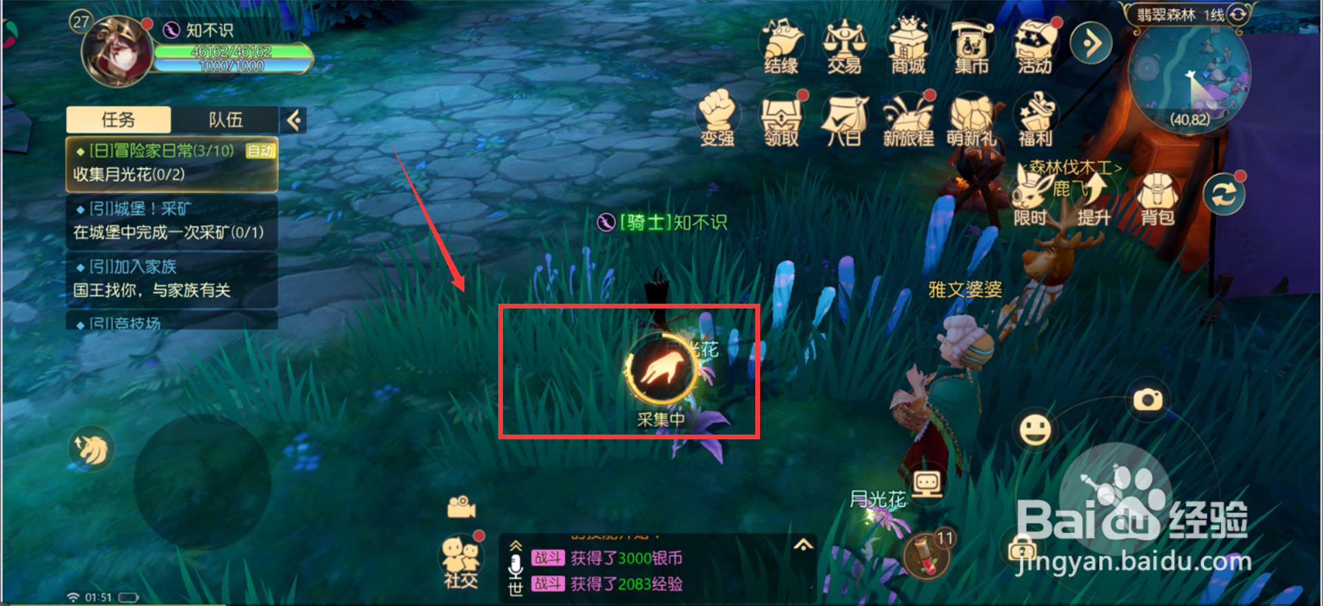 有杀气童话2收集月光花任务如何完成