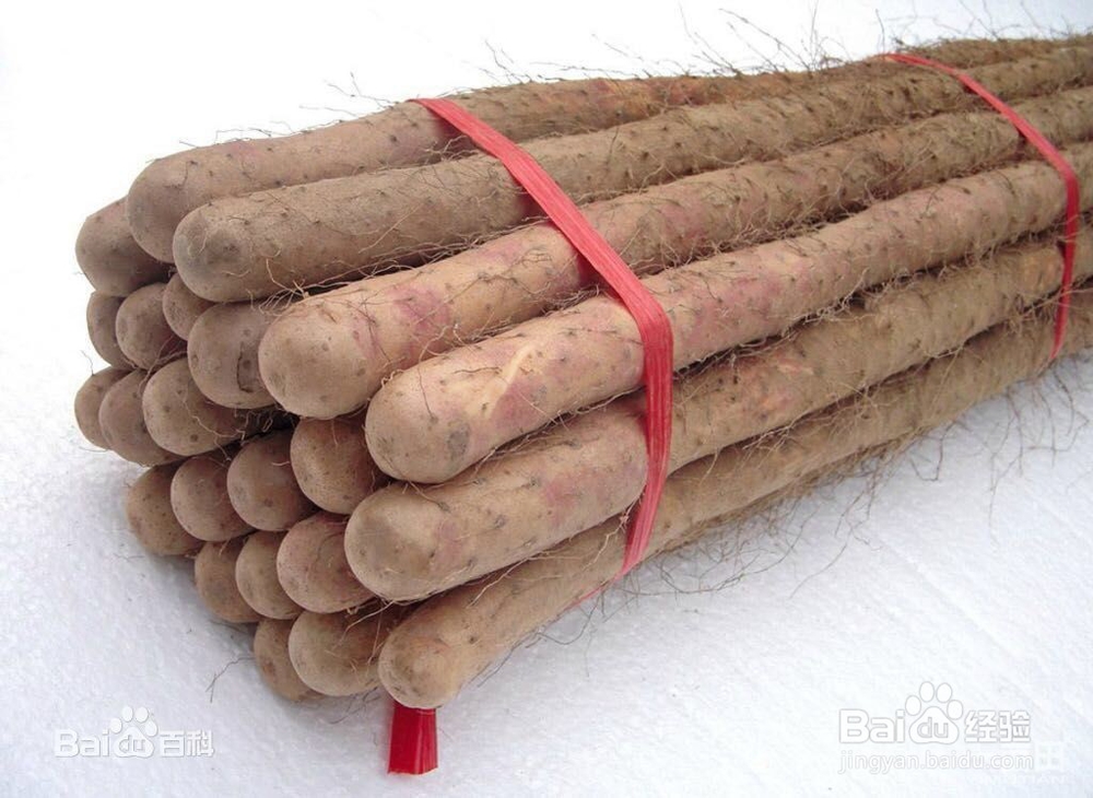 养护肝脏要健康饮食