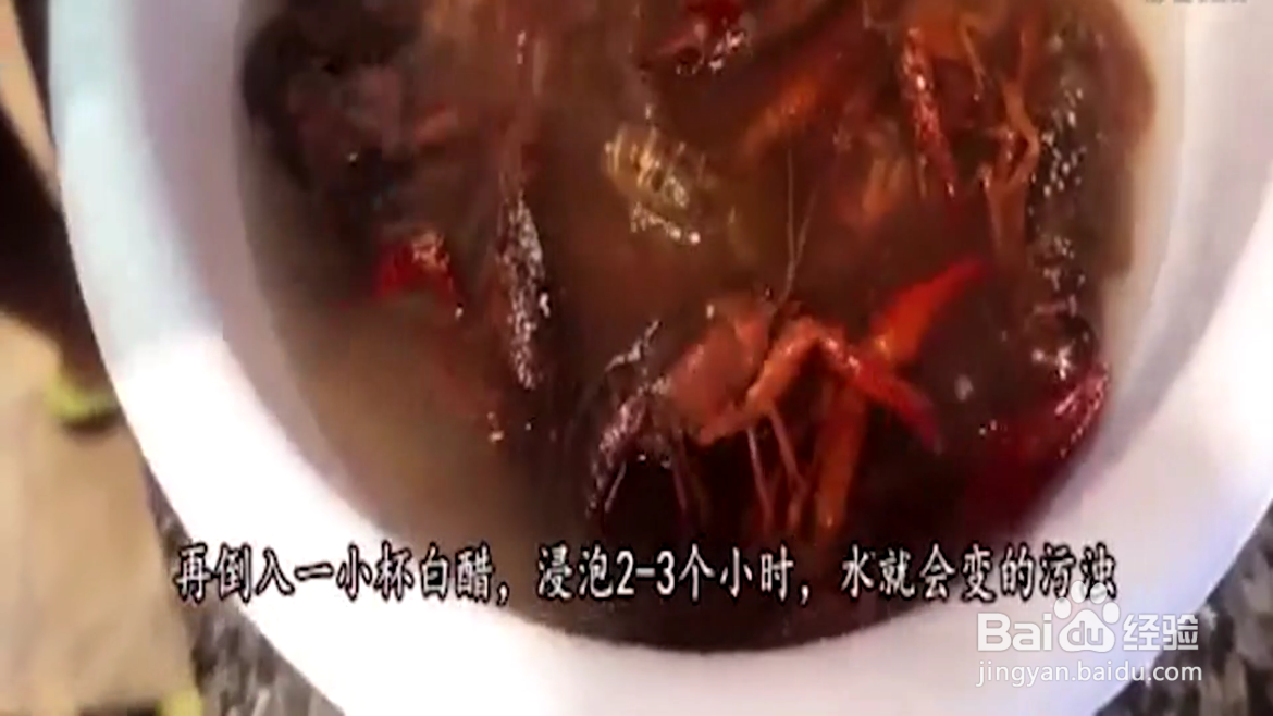 如何清洗小龙虾?