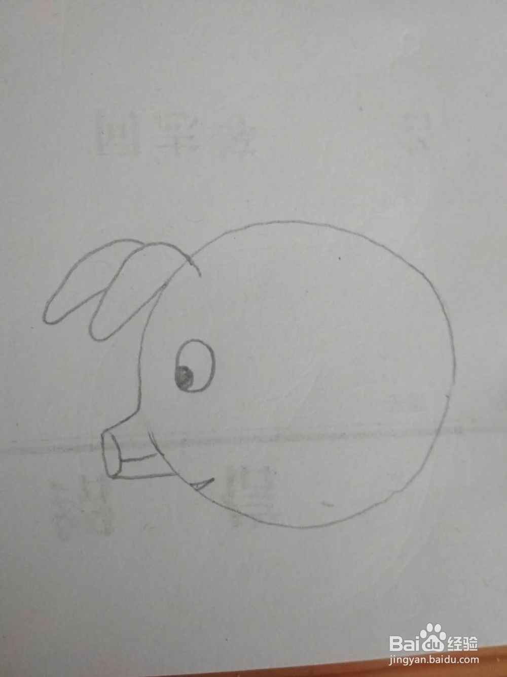 多妈简笔画动物一只胖嘟嘟的小猪